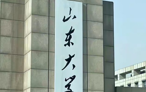 山东大学排名一览表