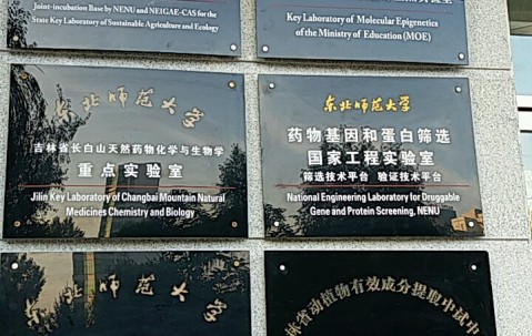东北师范大学毕业证书
