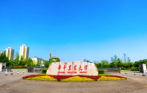 华中农业大学录取分数线2024