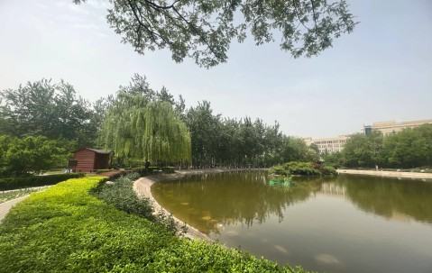 陕西师范大学排名