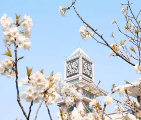 中南财经政法大学团委