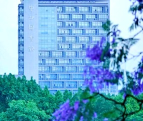 西南大学在哪个市