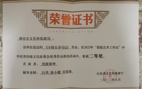 山东大学毕业证补办
