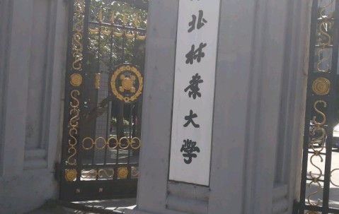 东北林业大学较高收费毕业证