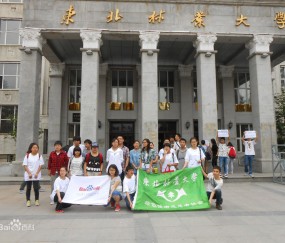 东北林业大学毕业证发放时间