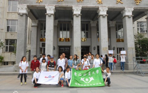 东北林业大学毕业证发放时间
