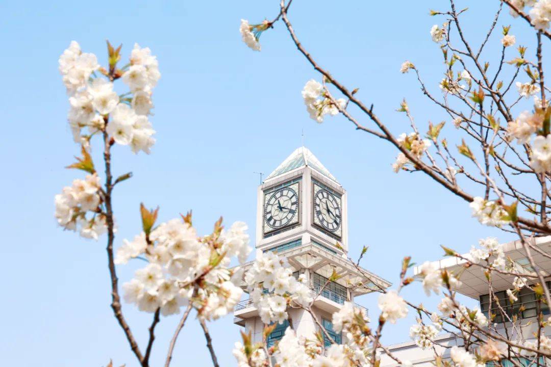 中南财经政法大学团委