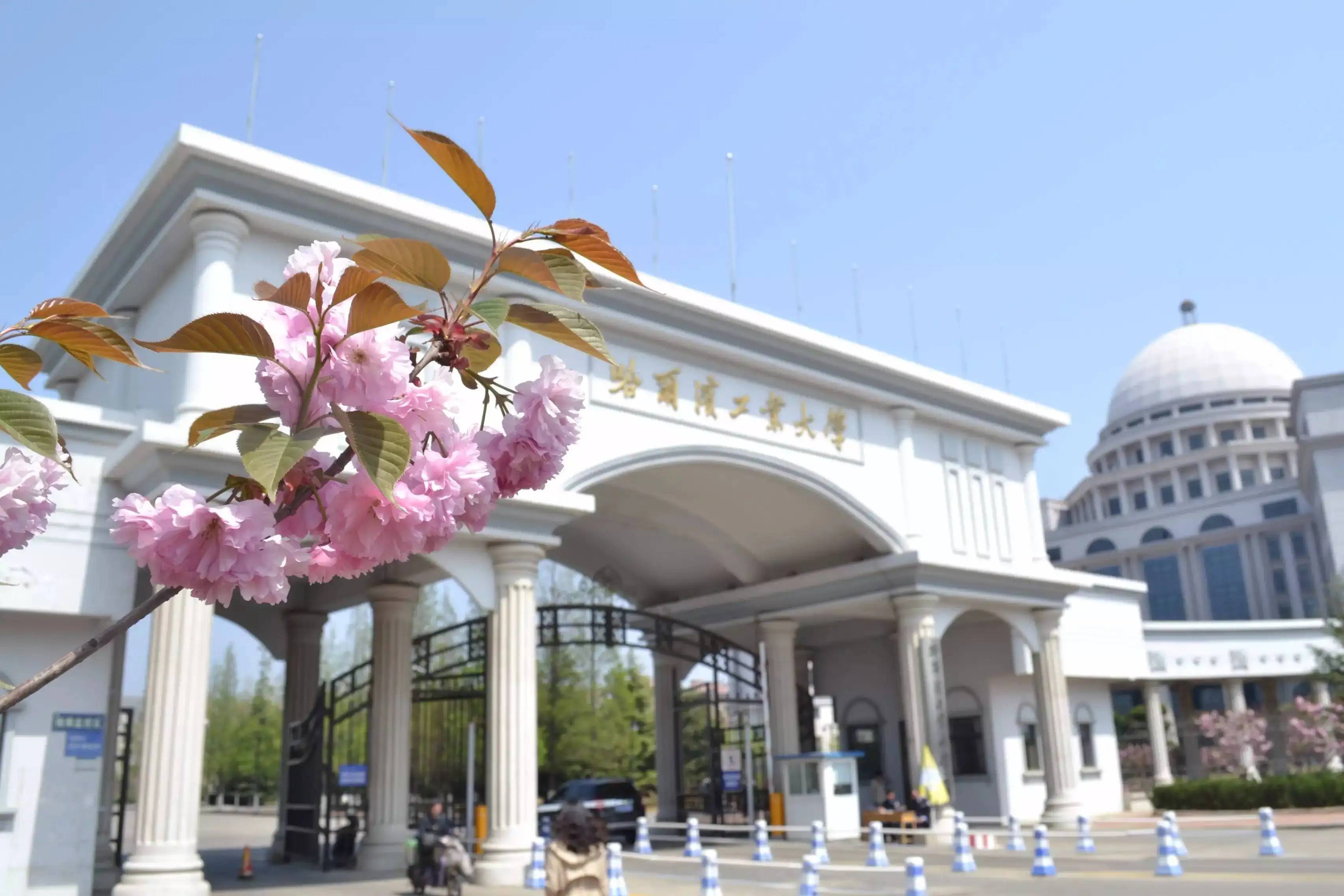 哈尔滨工业大学文凭含金量高吗