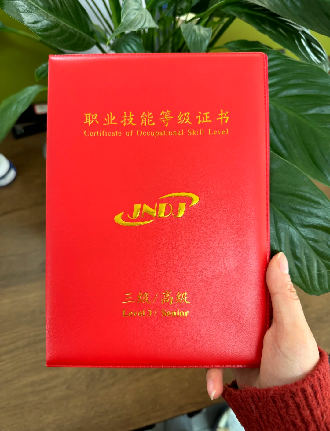 证书编号查询