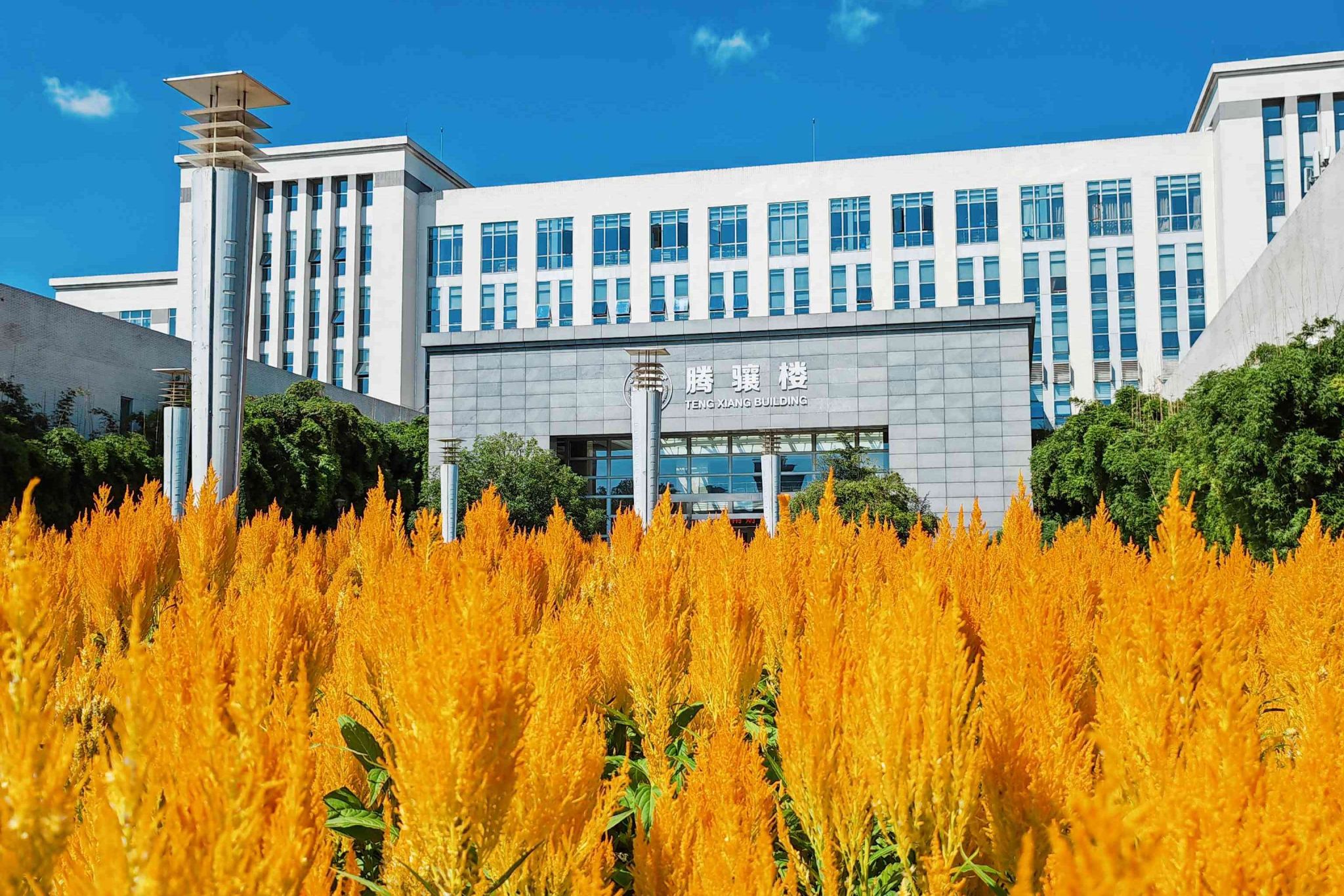 西南财经大学统计学院