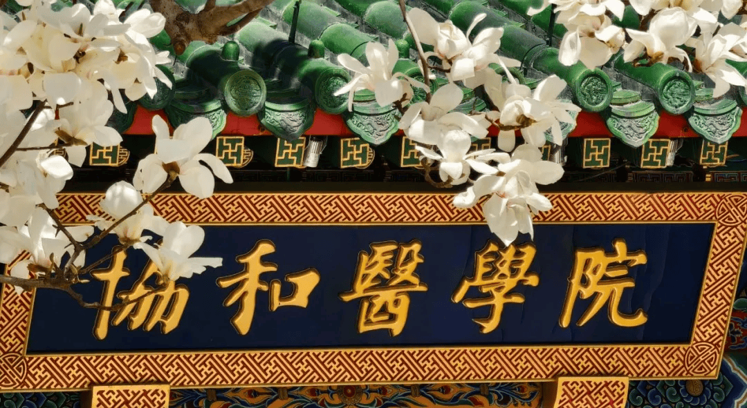 北京协和医学院几年制