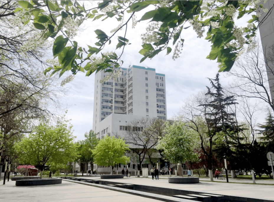首都医科大学录取分数线2024