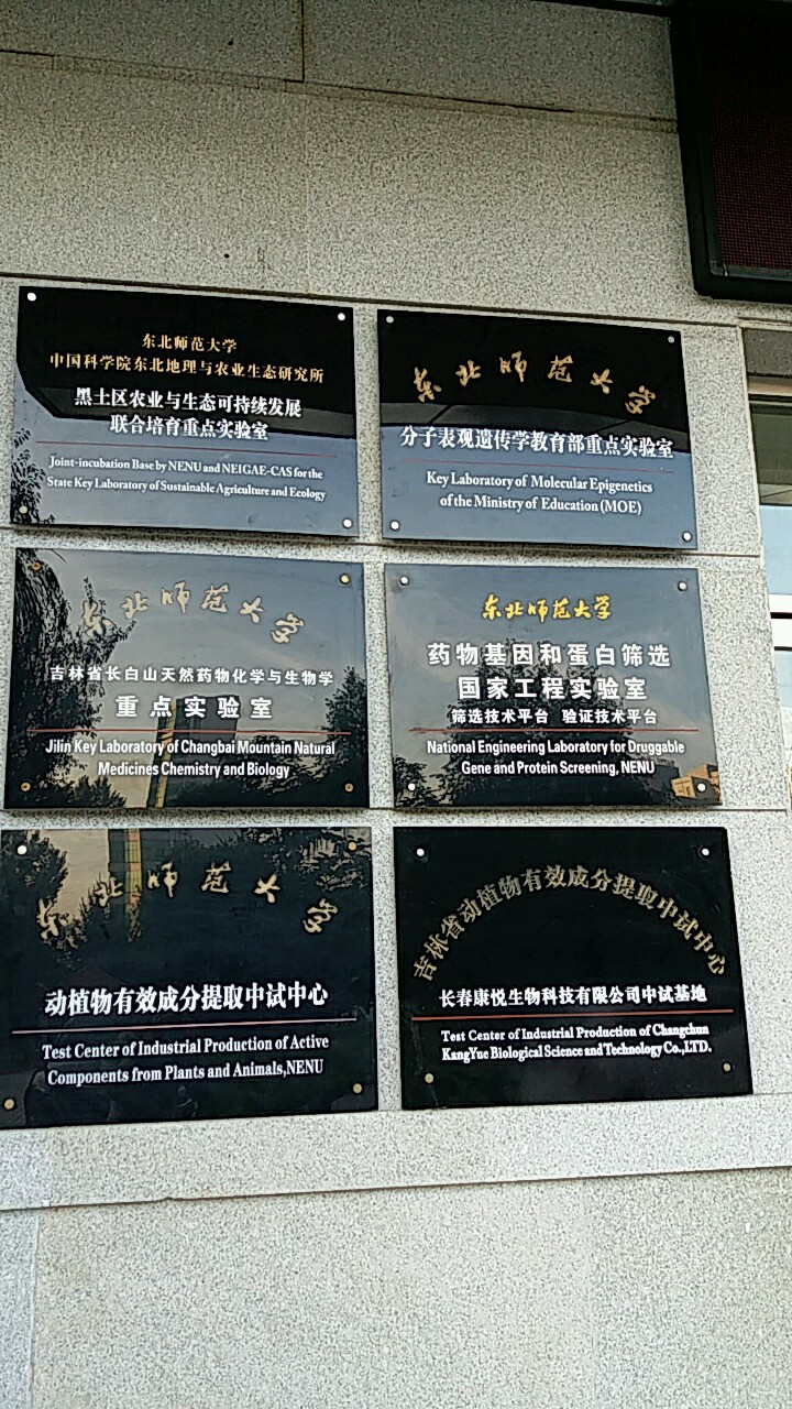 东北师范大学毕业证书